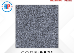 Gạch lát nền 60x60 Prime (9821)